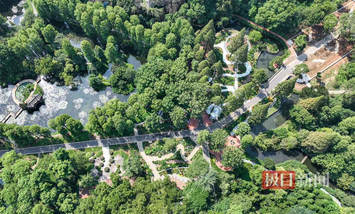棋乐互娱竞技
